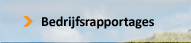 Bedrijfsrapportages